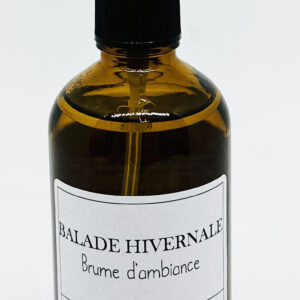 Brume d'ambiance - Balade Hivernale