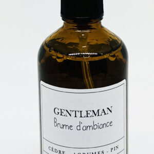 Brume d'ambiance - Gentleman